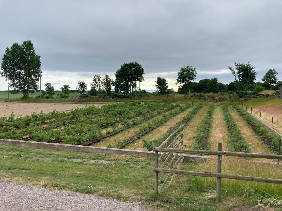 Fin Laegenhet Pa Bjaere Med Naera Till Natur Och Noeje Bastad Luaran gambar