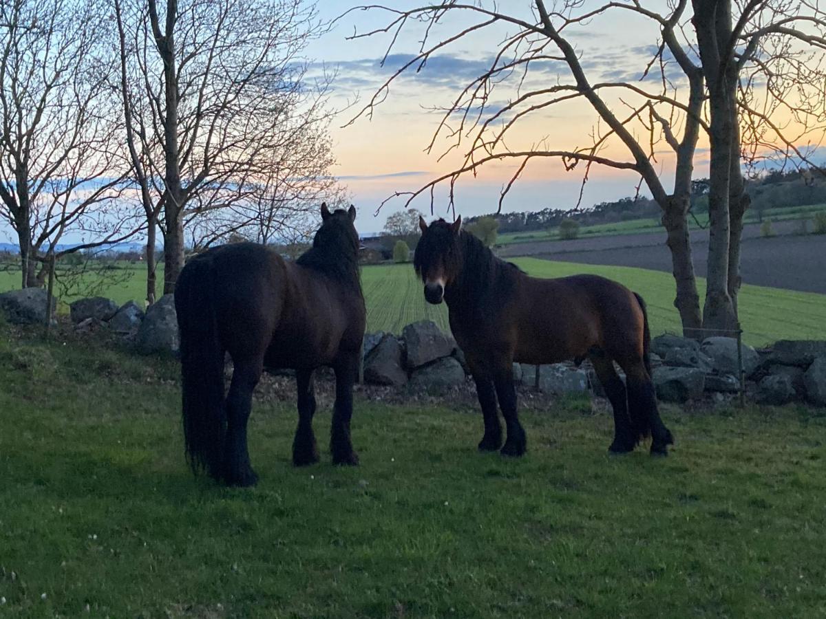 Fin Laegenhet Pa Bjaere Med Naera Till Natur Och Noeje Bastad Luaran gambar