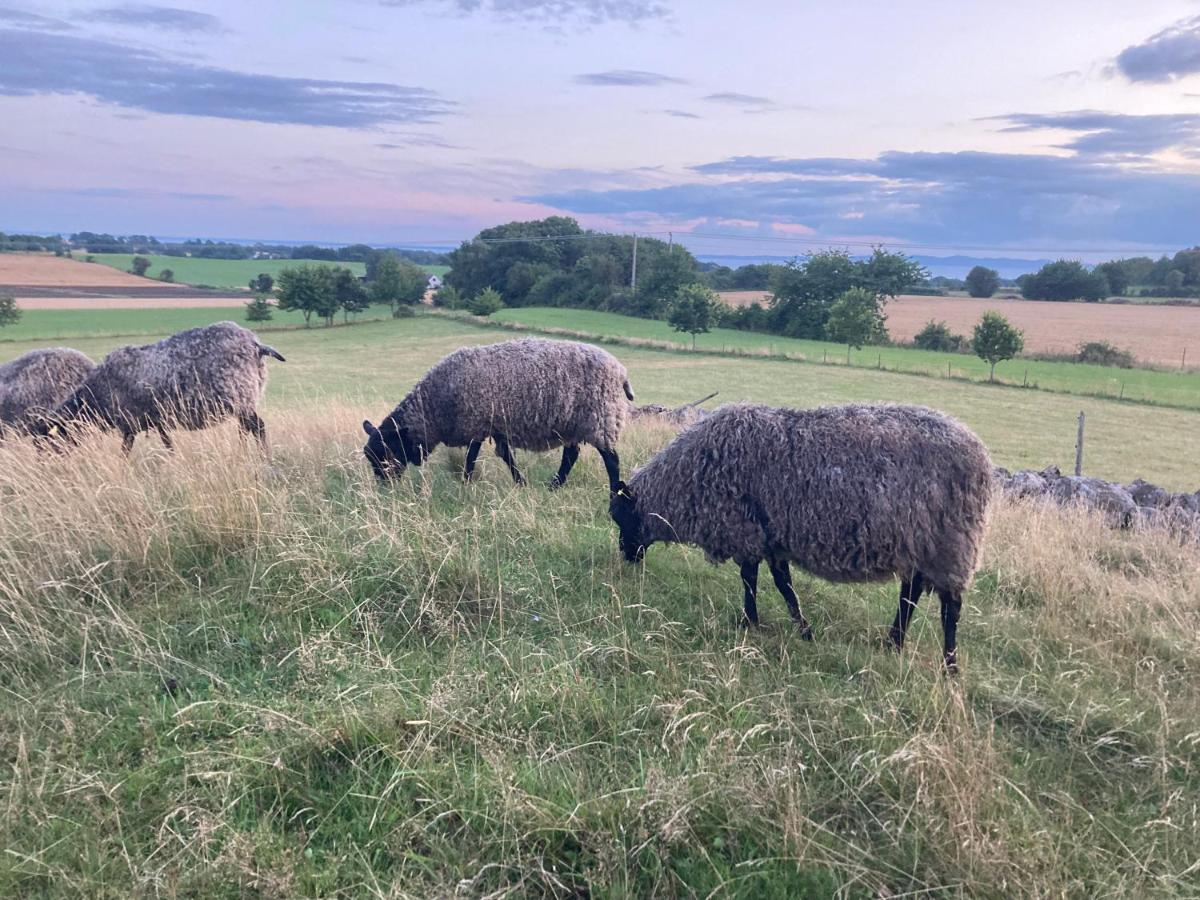 Fin Laegenhet Pa Bjaere Med Naera Till Natur Och Noeje Bastad Luaran gambar